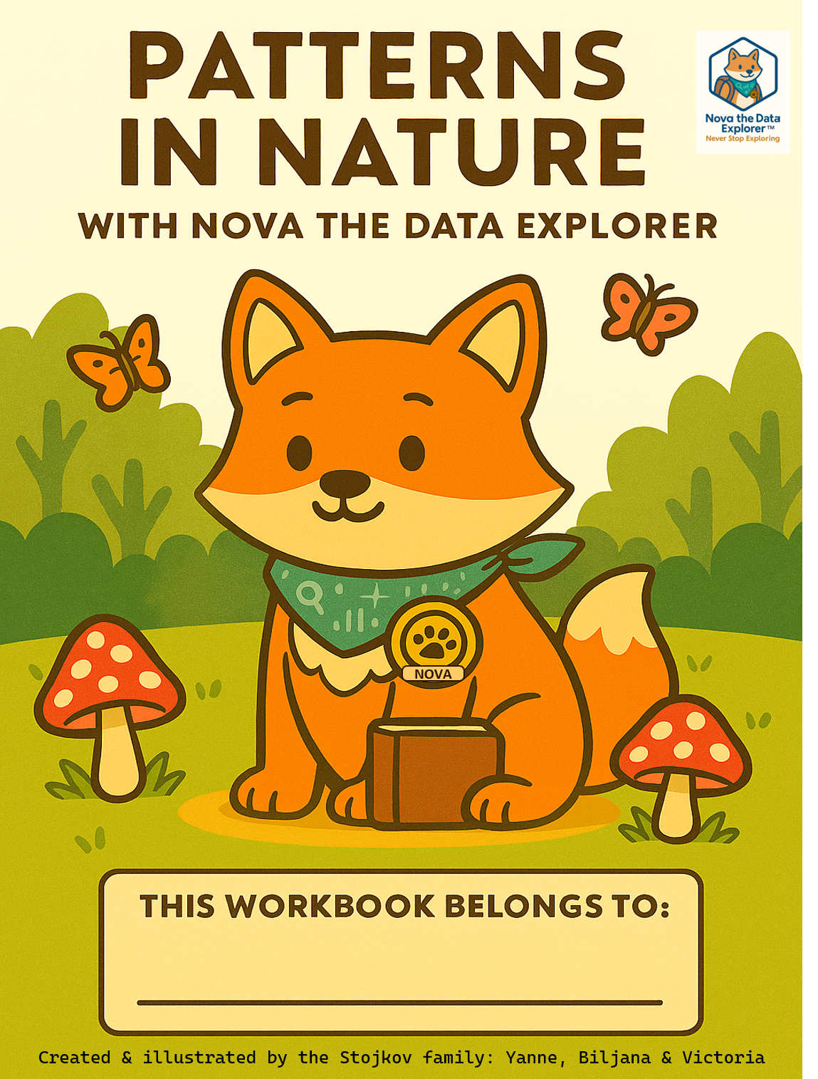 Nova the Data Explorer: Patterns in Nature workbook cover
